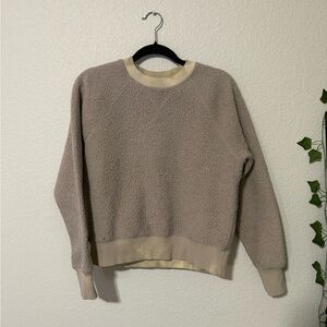 Everlane Taupe Crew Neck Sweater